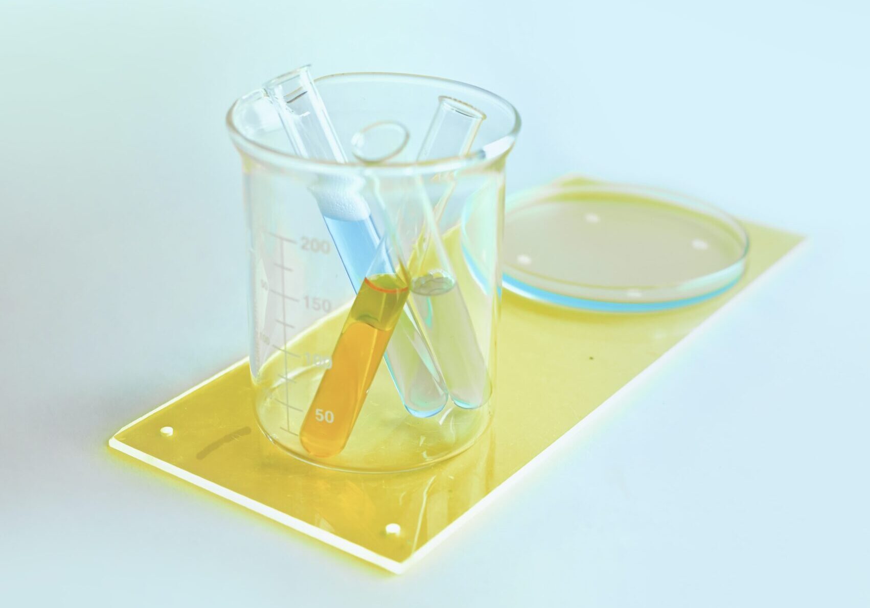 girl-with-red-hat-r4A-lJTgXQg-unsplash